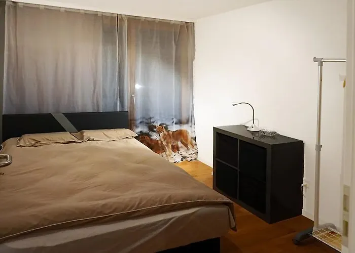 Switzerland Appartement *